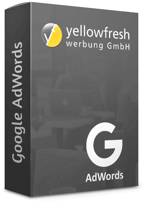 Google Adwords Kampagnen Schwerin